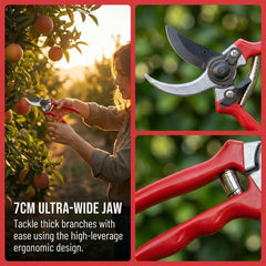 Professional Garden Pruning Shears Horticulture Hand Pruner Shrub Scissors for Efficient Branch Cutting in Orchards And Plants