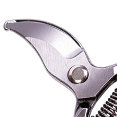 Garden  Pruning Shears Non-slip HandleStainless Steel Outils Manuels Household Bonsai Garden Scissors Pruing Shear tools