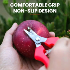 Garden Pruning Shears Potted Branches Scissors Fruit Picking Small Scissors Household Hand Tools Orchard Farm Gardening Tools