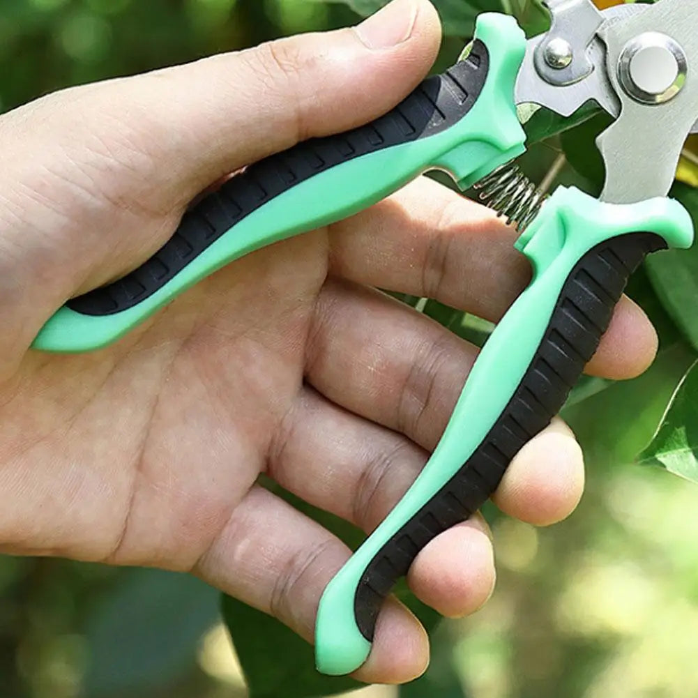 Pruner Garden Scissors Professional Sharp Bypass Pruning Shears Tree Trimmers Secateurs Hand Clippers For Garden Beak Scissors ﻿