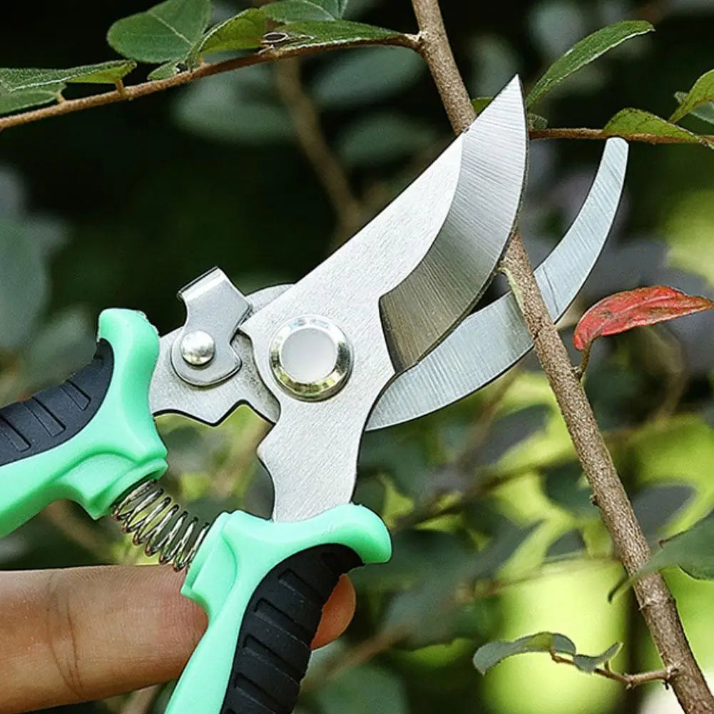 Pruner Garden Scissors Professional Sharp Bypass Pruning Shears Tree Trimmers Secateurs Hand Clippers For Garden Beak Scissors ﻿