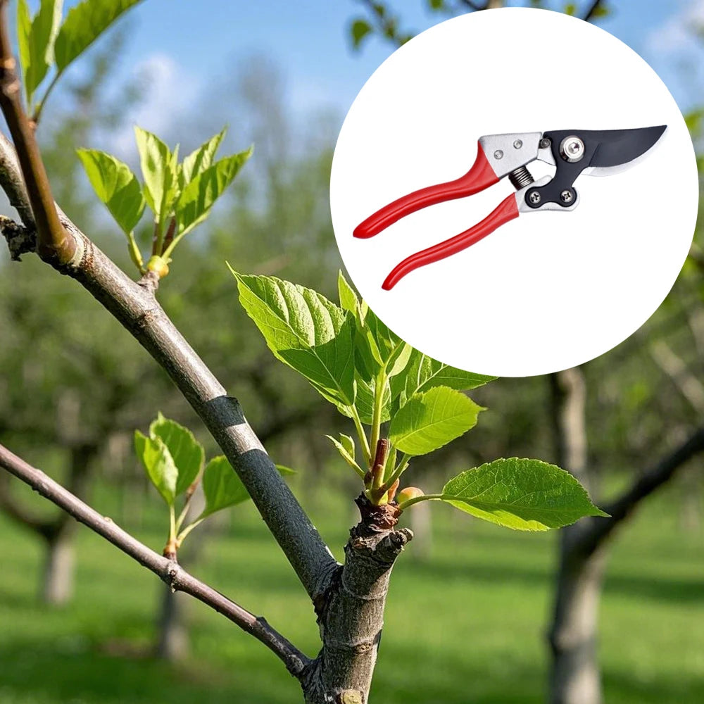 Pruning Shear Pruner Garden Scissor Multifunctional Floral Tree Branch Scissors for Trimming Shaping Landscaping Garden Shears