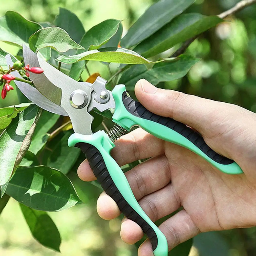 Pruner Garden Scissors Professional Sharp Bypass Pruning Shears Tree Trimmers Secateurs Hand Clippers For Garden Beak Scissors ﻿